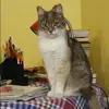 Отзыв от Лилия Макарова